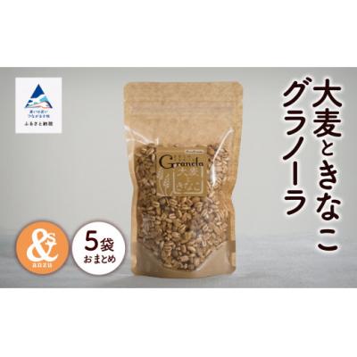 ふるさと納税 小松市 シリアル 朝食 健康 小松産 大麦ときなこグラノーラ 5袋おまとめ