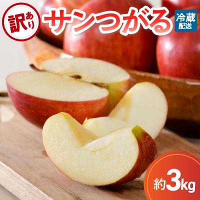 ふるさと納税 五所川原市 [9月発送][訳あり] りんご 約3kg サンつがる 青森県産
