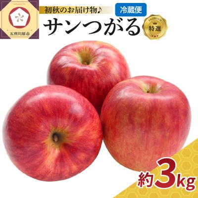 ふるさと納税 五所川原市 [9月発送] りんご 3kg サンつがる ≪特選≫ 青森県産 [2026年 フルーツ]