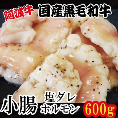 ふるさと納税 小松島市 ホルモン 小腸 阿波牛 塩ダレ 200g×3パック 計600g