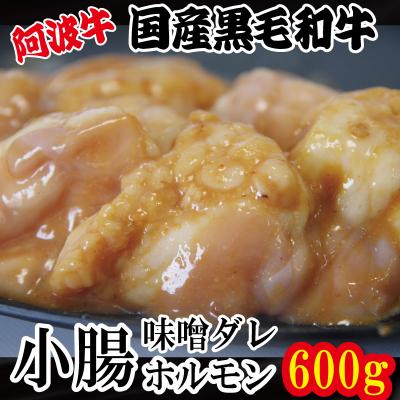 ふるさと納税 小松島市 ホルモン 小腸 阿波牛 味噌ダレ 200g×3パック 計600g
