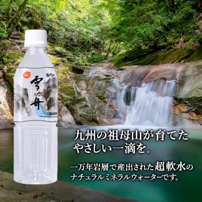 ふるさと納税 佐伯市 ナチュラル ミネラル ウォーター 雪舟 500ml (計24本)_2