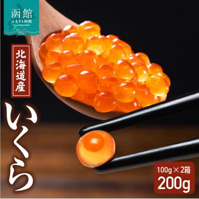 ふるさと納税 函館市 北海道産いくら 100g×2箱_HD117-030