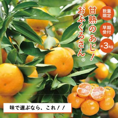ふるさと納税 四万十市 [早期受付・数量限定]農家直送!四万十みかん[おふくろさん]3kg[家庭用2025年11月中旬より]