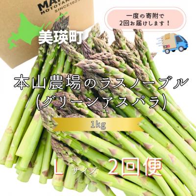 ふるさと納税 美瑛町 令和9年産先行予約 幻のアスパラ[Lサイズ 1kg 2回便]グリーンアスパラ 北海道産 ラスノーブル