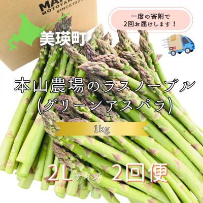 ふるさと納税 美瑛町 令和9年産先行予約 幻のアスパラ[2Lサイズ 1kg 2回便]アスパラガス 北海道産 ラスノーブル