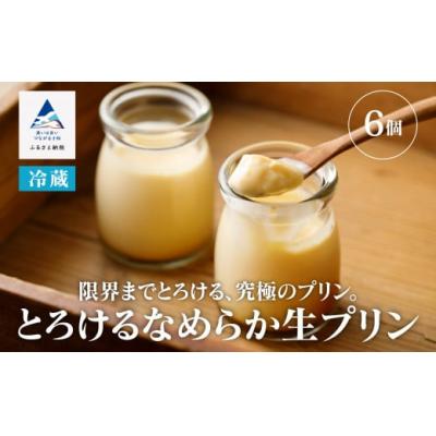ふるさと納税 小松市 とろけるなめらか生プリン 6個 限界までとろけるプリン ギフトプリン