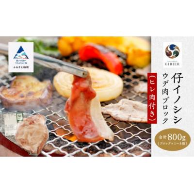 ふるさと納税 小松市 仔イノシシ ウデ肉 ヒレ肉付きブロック 800g 冷凍猪肉 天然ジビエ ジビエ認証取得で安心