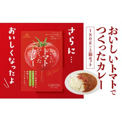 ふるさと納税 小松市 おいしいトマトで作ったカレー 5箱セット レトルトカレー トマトカレー