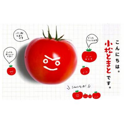 ふるさと納税 小松市 おいしいトマトで作ったカレー 5箱セット レトルトカレー トマトカレー |  | 01