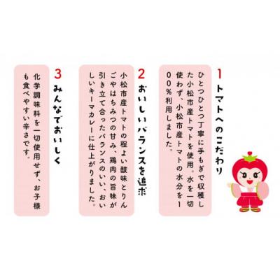 ふるさと納税 小松市 おいしいトマトで作ったカレー 5箱セット レトルトカレー トマトカレー |  | 02