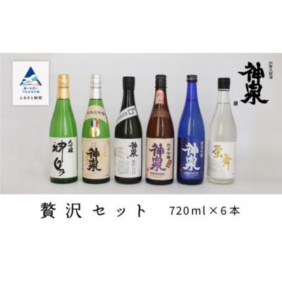 ふるさと納税 小松市 神泉 贅沢セット 720ml×6本 飲み比べセット 日本酒 清酒