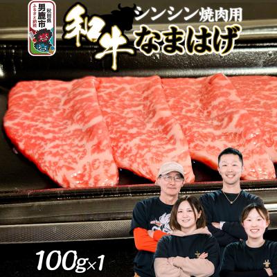 ふるさと納税 男鹿市 和牛なまはげ シンシン焼肉用 100g 大進農場|23_dsf-080101