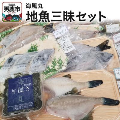 ふるさと納税 男鹿市 海風丸「地魚三昧セット」 秋田県 男鹿市 漬け魚 一夜干し|23_umk-030101