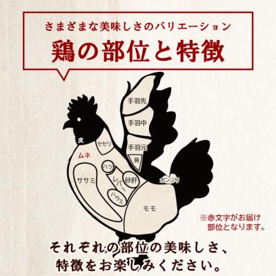 ふるさと納税 西予市 定期便\u003c愛媛県産 銘柄鶏 浜千鶏(はまちどり)若鶏 むね肉4kg国産 鶏肉 大容量 業務用 6か月_3
