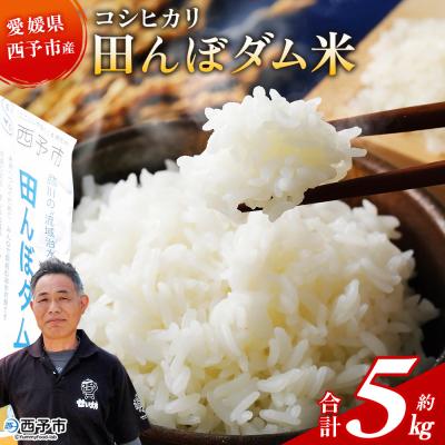 ふるさと納税 西予市 新米&lt;令和7年産 愛媛県西予市産 コシヒカリ 田んぼダム米 5kg選べる 5キロ こしひかり