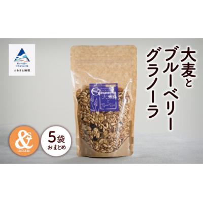 ふるさと納税 小松市 大麦とブルーベリーグラノーラ 5袋セット 小松市産大麦 国産シリアル