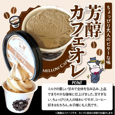 ふるさと納税 豊富町 生ソフトクリーム ミルクetc3種セット【芳醇ミルク/芳醇カフェオレ/カフェオレ&ミルク】 計10個_1
