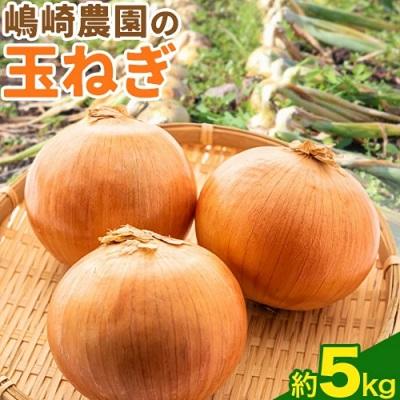 ふるさと納税 本別町 [先行受付]令和8年産北海道十勝本別町嶋崎農園の玉ねぎ約5kg