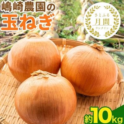 ふるさと納税 本別町 [先行受付]令和8年産北海道十勝本別町嶋崎農園の玉ねぎ約10kg