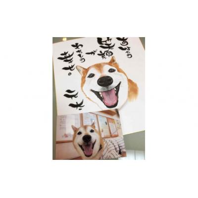 ふるさと納税 小松市 ペット似顔絵色紙(1ペット)