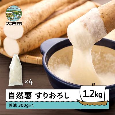 ふるさと納税 大石田町 雪国育ちの自然薯 すりおろし 300g×4 計1200g じねんじょ 山形県 大石田町