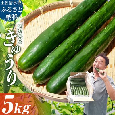 ふるさと納税 土佐清水市 きゅうり 5キロ 野菜 新鮮 キュウリ サラダ [R01452]