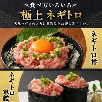 ふるさと納税 室戸市 高豊丸ネギトロ600g【3回定期便】_1