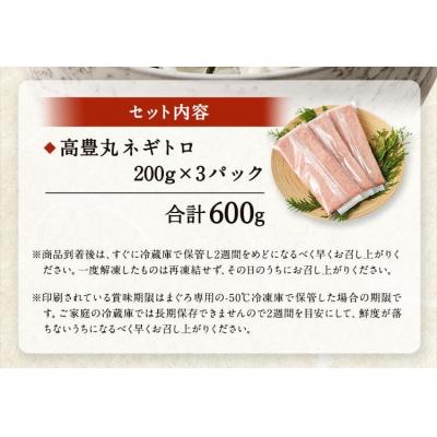 ふるさと納税 室戸市 高豊丸ネギトロ600g【3回定期便】_3