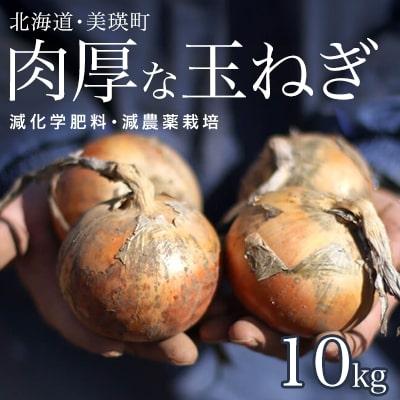 ふるさと納税 美瑛町 玉ねぎ 10kg[令和7年産先行受付]本山農場