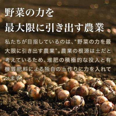 ふるさと納税 美瑛町 【令和8年産先行受付】本山農場の玉ねぎ 10kgの画像