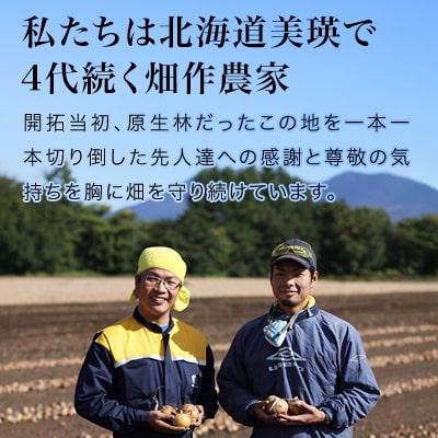 ふるさと納税 美瑛町 【令和8年産先行受付】本山農場の玉ねぎ 10kgの画像