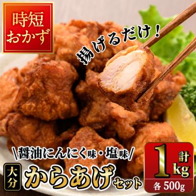 ふるさと納税 佐伯市 時短おかず 揚げるだけ 大分 からあげ 醤油にんにく味・塩からあげ セット (合計1kg・各500g