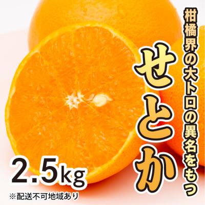 ふるさと納税 三原市 [先行受付]果汁たっぷり甘さに満足 柑橘の大トロせとか 2.5kg [017-020]