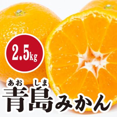 ふるさと納税 三原市 [先行受付]濃厚な甘さが特徴!青島みかん 約2.5kg[017-053]