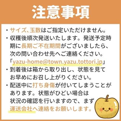 ふるさと納税 八頭町 【2027年発送分先行受付】二十世紀梨(赤秀) 3kg【Y's Farm Tottori】 |  | 03