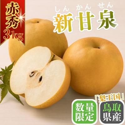 ふるさと納税 八頭町 新甘泉(赤秀) 3kg[Y's Farm Tottori]