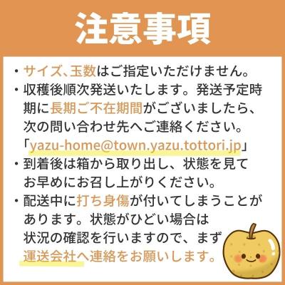 ふるさと納税 八頭町 【2027年発送分先行受付】新甘泉(赤秀) 3kg【Y's Farm Tottori】 |  | 03