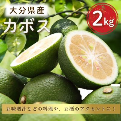 ふるさと納税 豊後高田市 カボス 2kg 大分県産カボス 8月~9月発送 柑橘 かぼす 料理 調味料 香酸