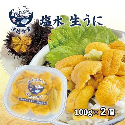 ふるさと納税 乙部町 <津花食堂 塩水ウニ100g×2パック>