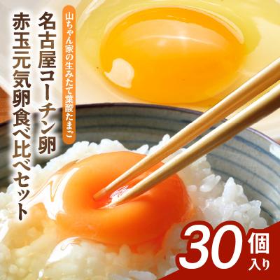 ふるさと納税 小牧市 [生みたて葉酸たまご]名古屋コーチン卵・赤玉元気卵 食べ比べセット(合計30個)[132Y09]