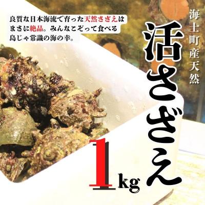 ふるさと納税 海士町 [ふるさと納税][現在入荷次第順次発送中!]島獲れ活さざえ1kg 新鮮 BBQ