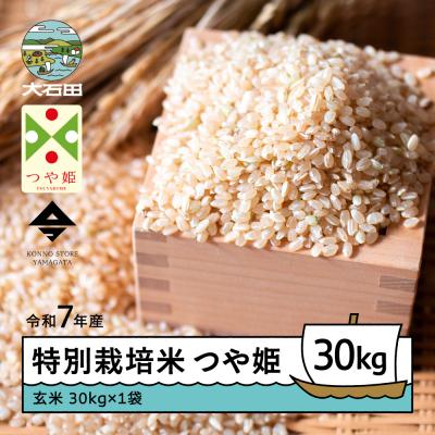 ふるさと納税 大石田町 令和7年産 米 つや姫 30kg 大石田町産 特別栽培米 玄米