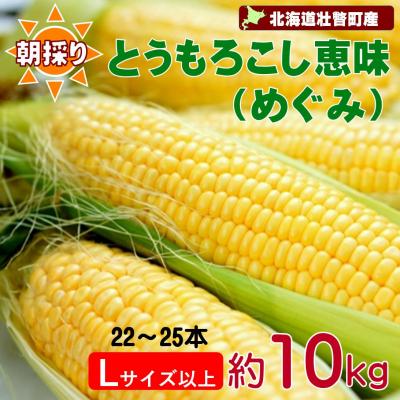 ふるさと納税 壮瞥町 &lt;2026年8月下旬よりお届け&gt;[朝採り]とうもろこし恵味 約10kg(22〜25本)S