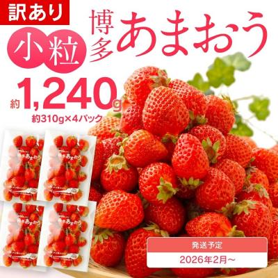 ふるさと納税 古賀市 訳あり 小粒あまおう 約310g×4パック[2026年2月より順次発送]