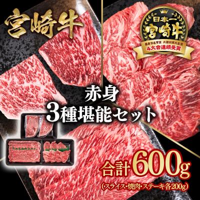 ふるさと納税 西都市 宮崎牛赤身堪能セット(スライス/焼肉/ステーキ)合計600g ya[2726]