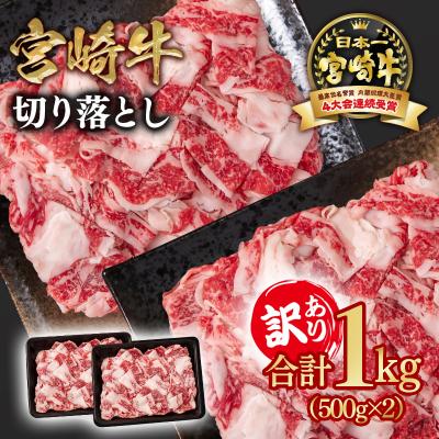 ふるさと納税 西都市 宮崎牛 訳あり切り落とし1kg A4〜A5等級 内閣総理大臣賞4連覇ya[2725]