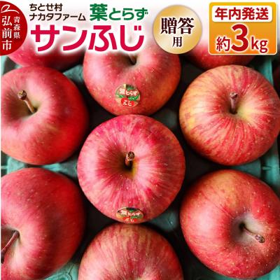 ふるさと納税 弘前市 りんご 葉とらずサンふじ 約3kg 贈答用 ちとせ村|24_cmn-040301a