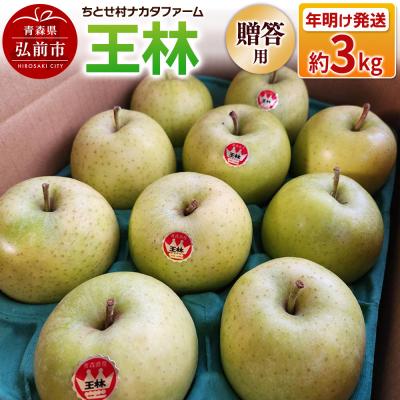 ふるさと納税 弘前市 りんご 王林 約3kg 贈答用 ちとせ村|24_cmn-050301b