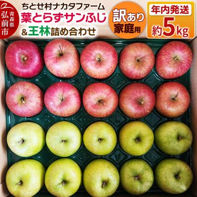 ふるさと納税 弘前市 りんご 葉とらずサンふじ &amp; 王林 詰め合わせ 約5kg 訳あり|24_cmn-070101a